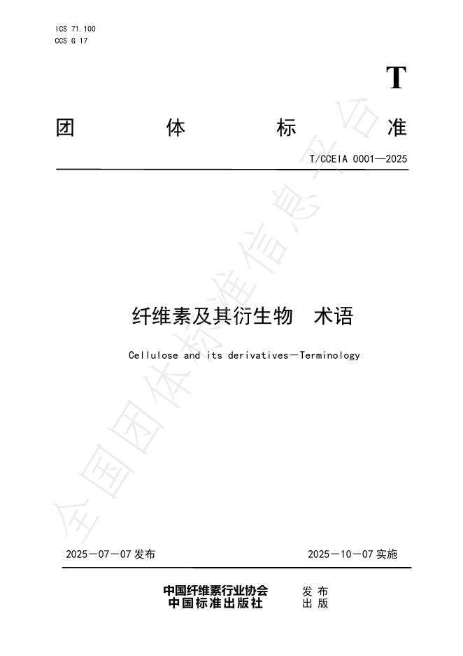 T/CCEIA 0001-2025 document cover