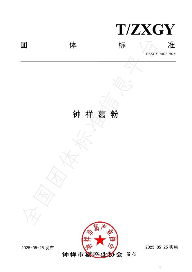 T/ZXGY 0002S-2025 标准预览
