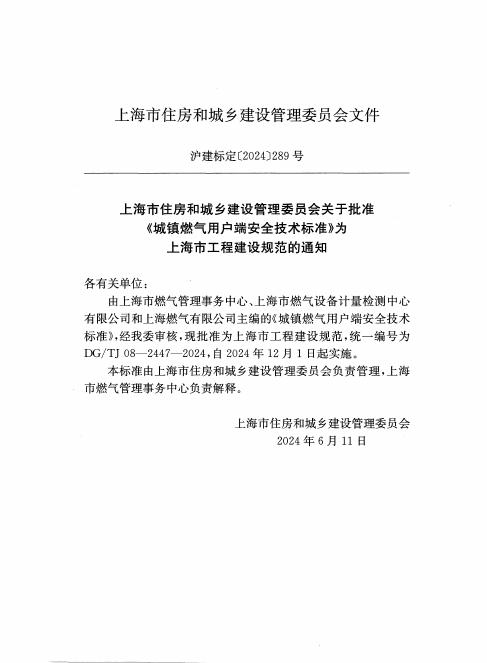 DG/TJ 08-2447-2024 标准预览
