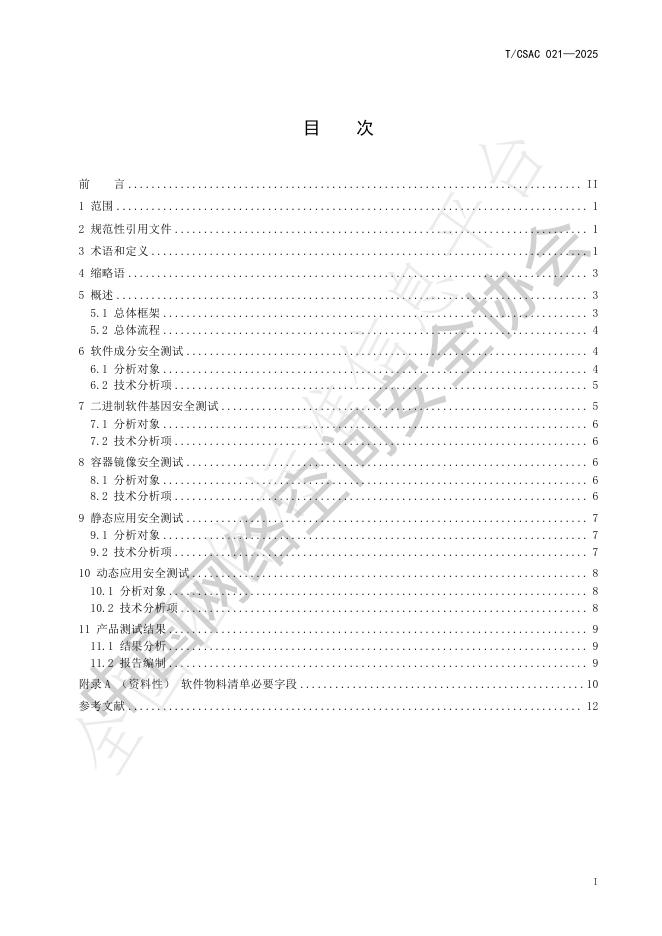 T/CSAC 021-2025 标准预览