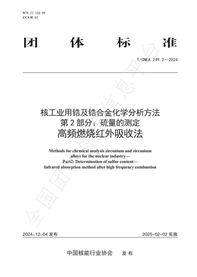 T/CNEA 249.2-2024 标准预览