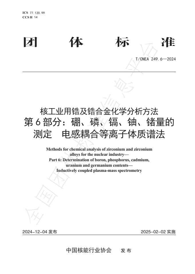T/CNEA 249.6-2024 标准预览