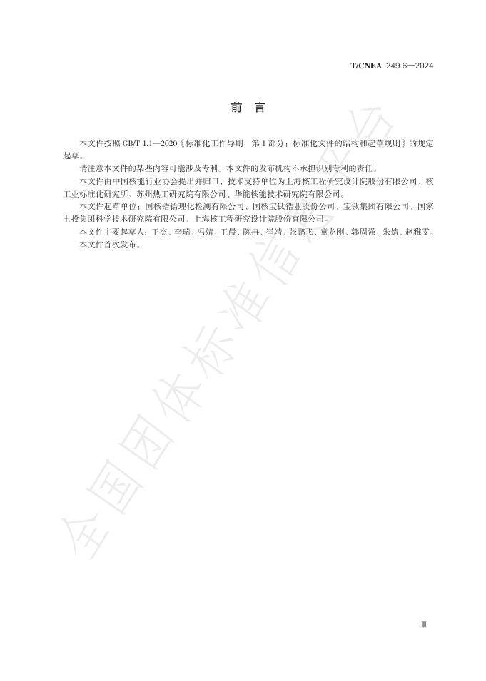 T/CNEA 249.6-2024 标准预览