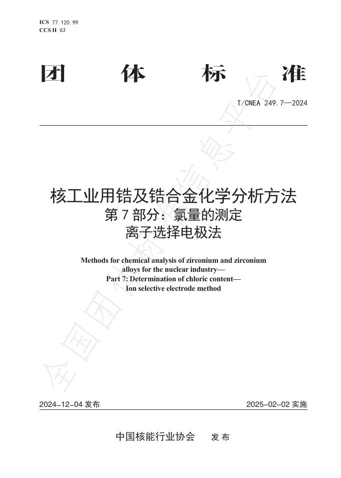 T/CNEA 249.7-2024 标准预览