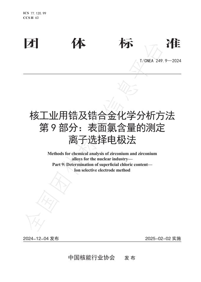 T/CNEA 249.9-2024 标准预览