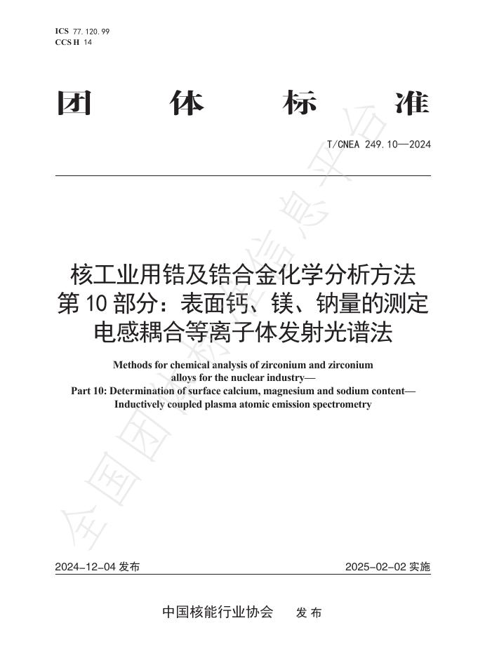 T/CNEA 249.10-2024 标准预览