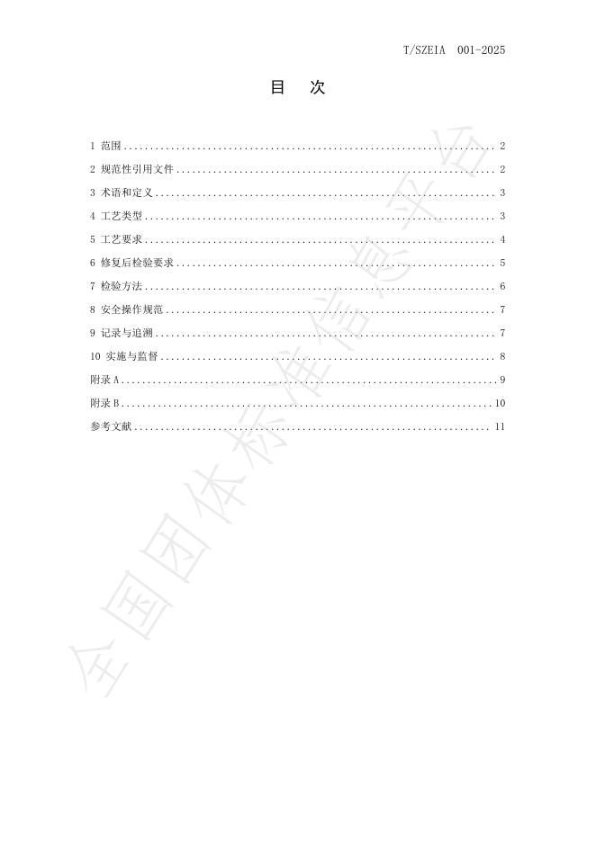 T/SZEIA 001-2025 标准预览