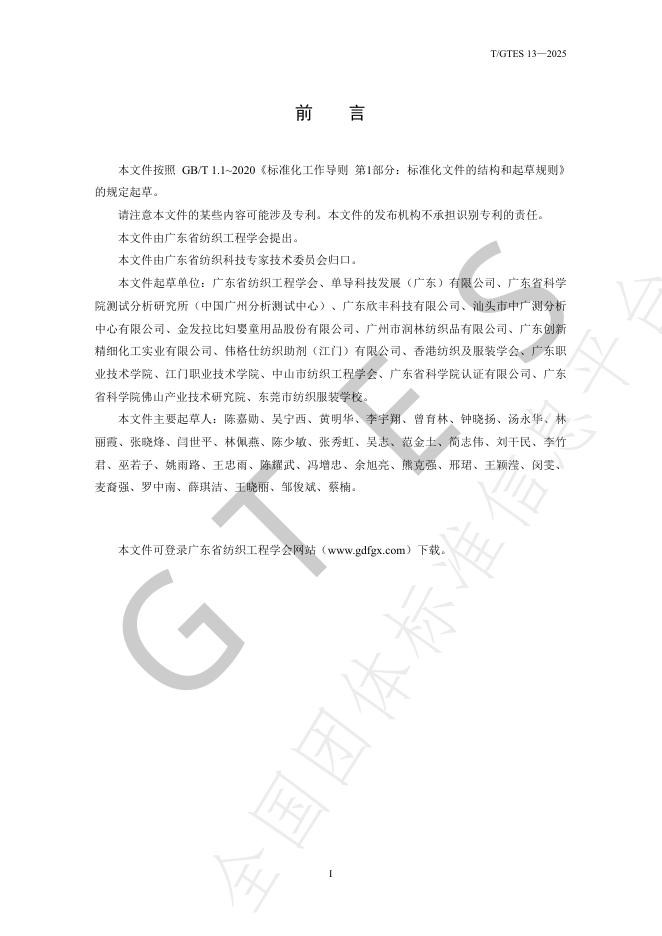 T/GTES 13-2025 标准预览