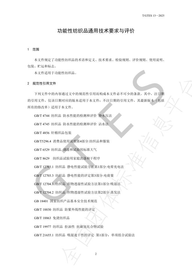 T/GTES 13-2025 标准预览