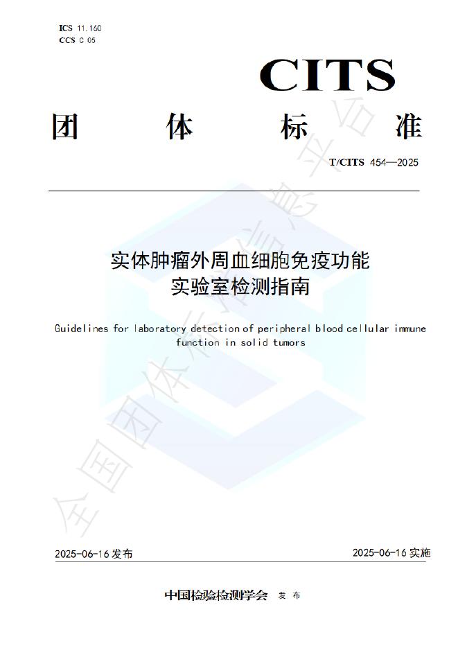 T/CITS 454-2025 标准预览