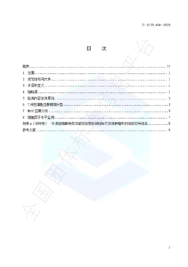 T/CITS 454-2025 标准预览