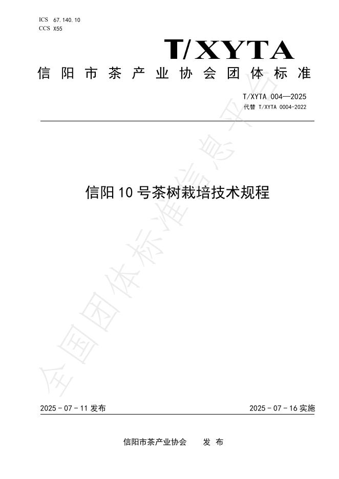 T/XYTA 004-2025 标准预览