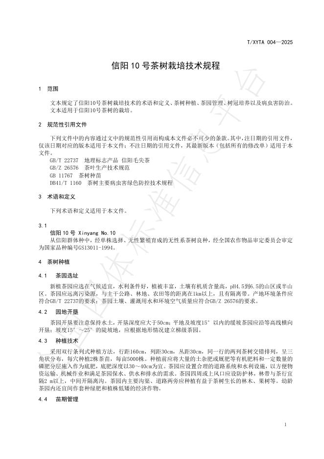 T/XYTA 004-2025 标准预览