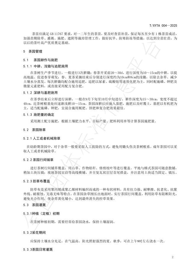 T/XYTA 004-2025 标准预览