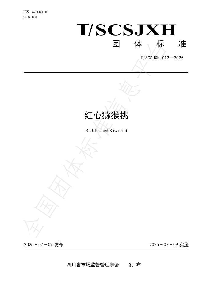 T/SCSJXH 012-2025 标准预览