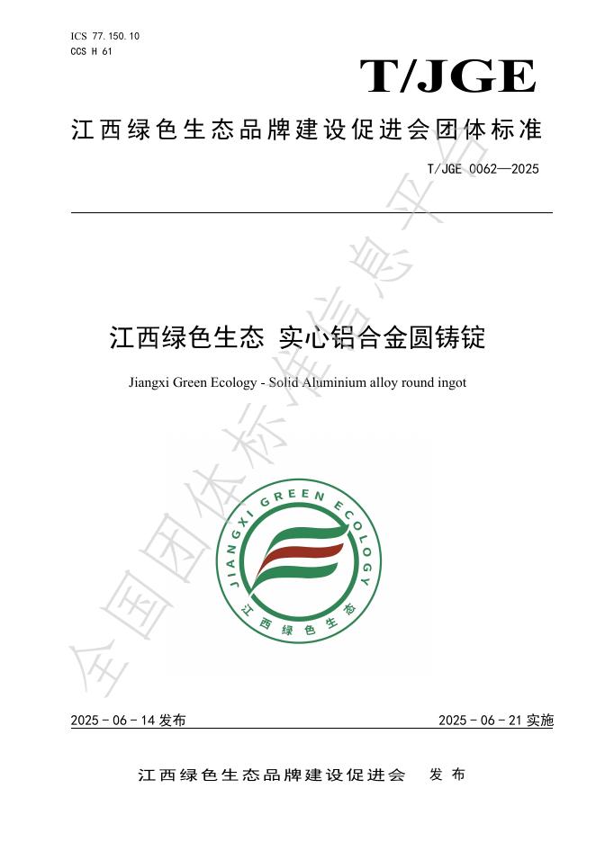 T/JGE 0062-2025 标准预览