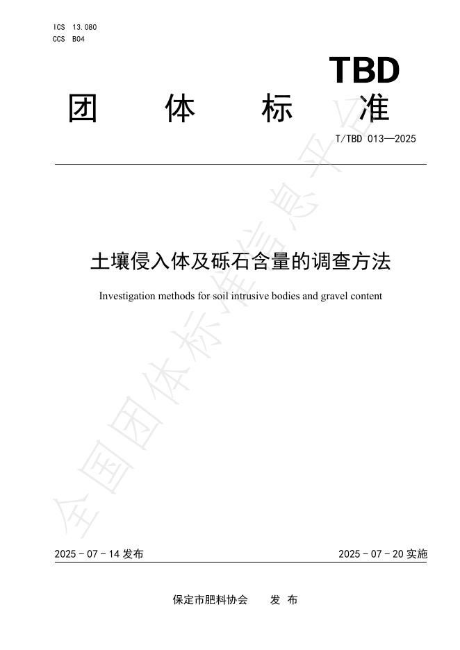 T/TBD 013-2025 标准预览