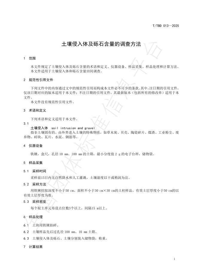 T/TBD 013-2025 标准预览