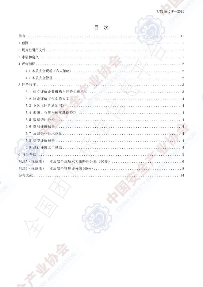 T/CSIA 019-2025 标准预览