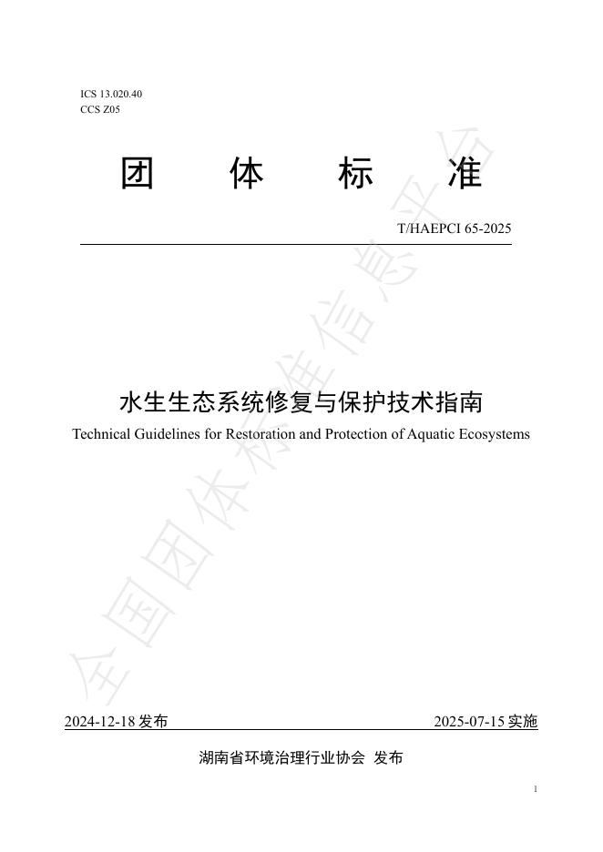 T/HAEPCI 65-2025 标准预览