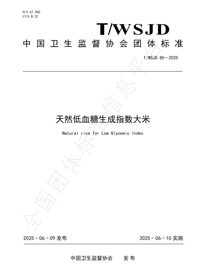 T/WSJD 85-2025 标准预览