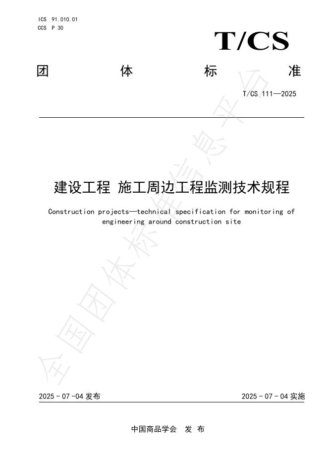 T/CS 111-2025 标准预览