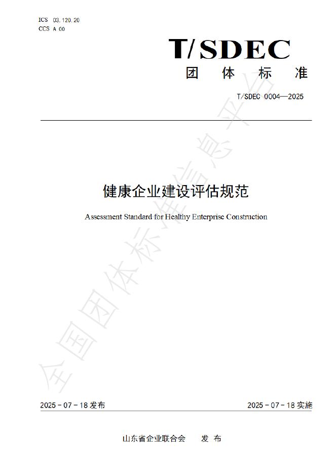 T/SDEC 0004-2025 标准预览