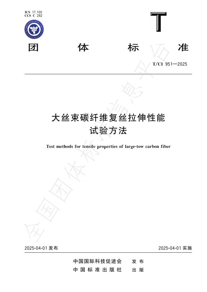 T/CI 951-2025 标准预览