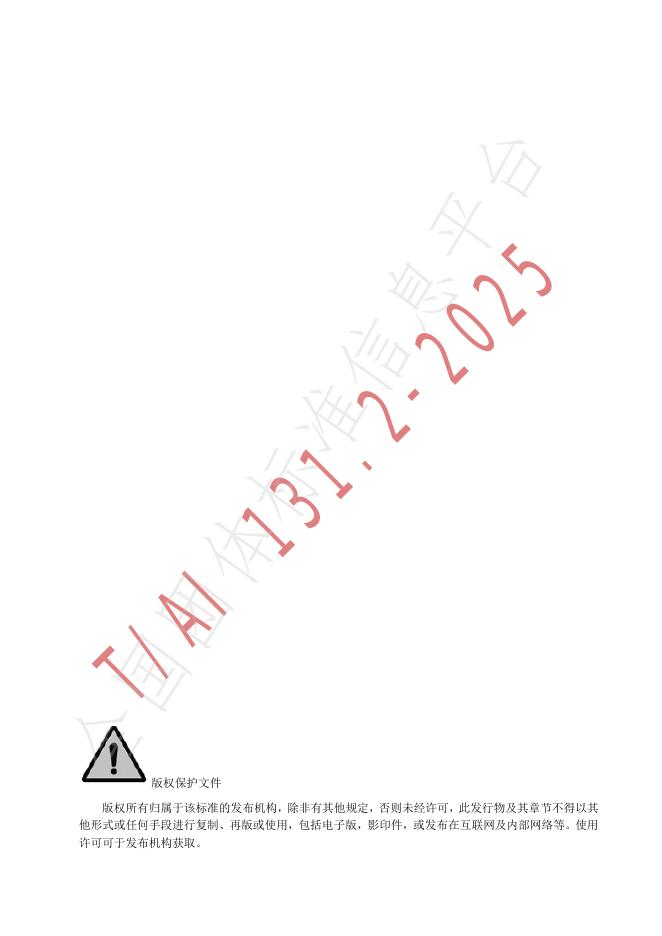 T/AI 131.2-2025 标准预览