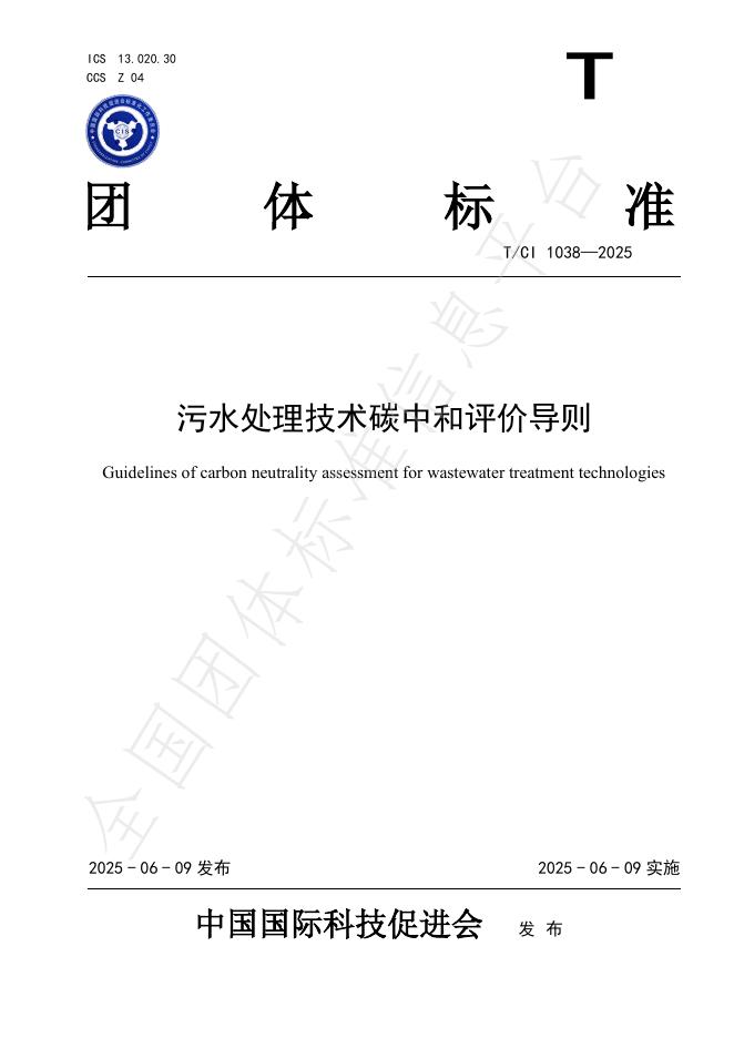 T/CI 1038-2025 标准预览