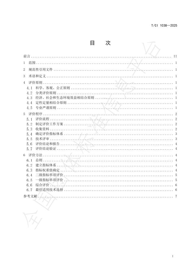 T/CI 1038-2025 标准预览