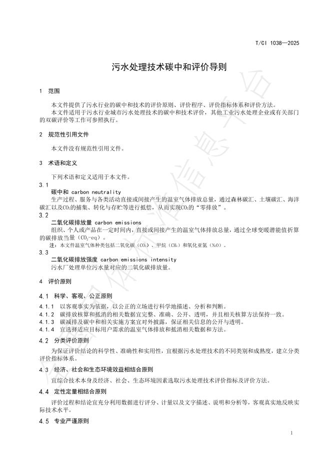 T/CI 1038-2025 标准预览