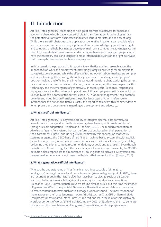 国际雇主组织&欧盟：2024年人工智能（AI）对工作和就业的影响研究报告（英文版）_第6页