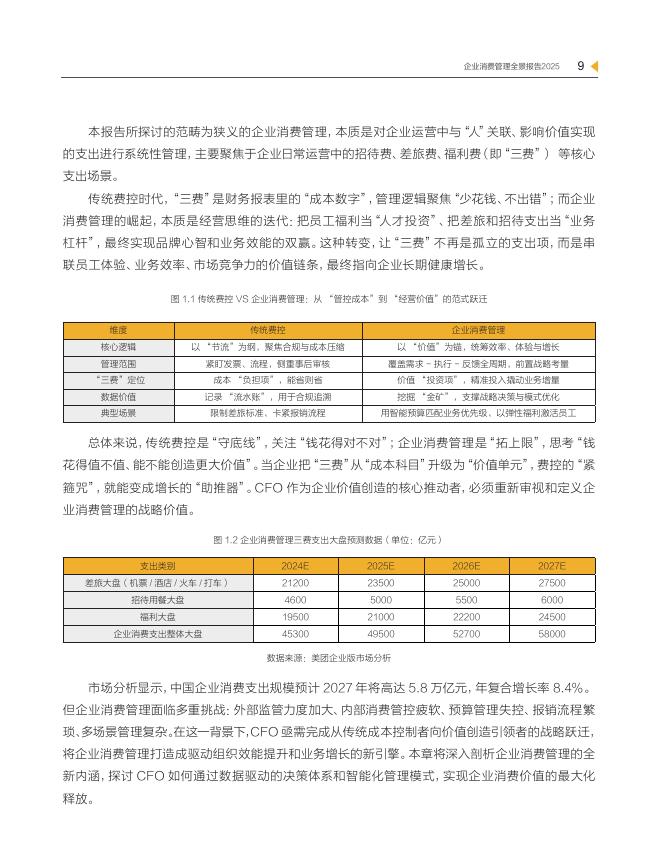 新理财&美团：“费”创价值：CFO战略跃迁新引擎-2025年企业消费管理全景报告_第10页