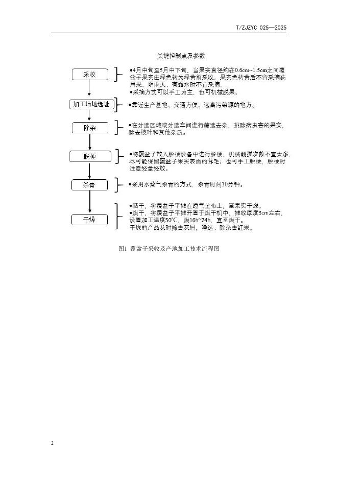 T/ZJZYC 025-2025 标准预览