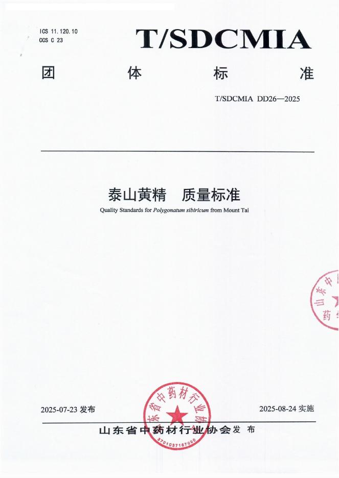T/SDCMIA DD26-2025 标准预览