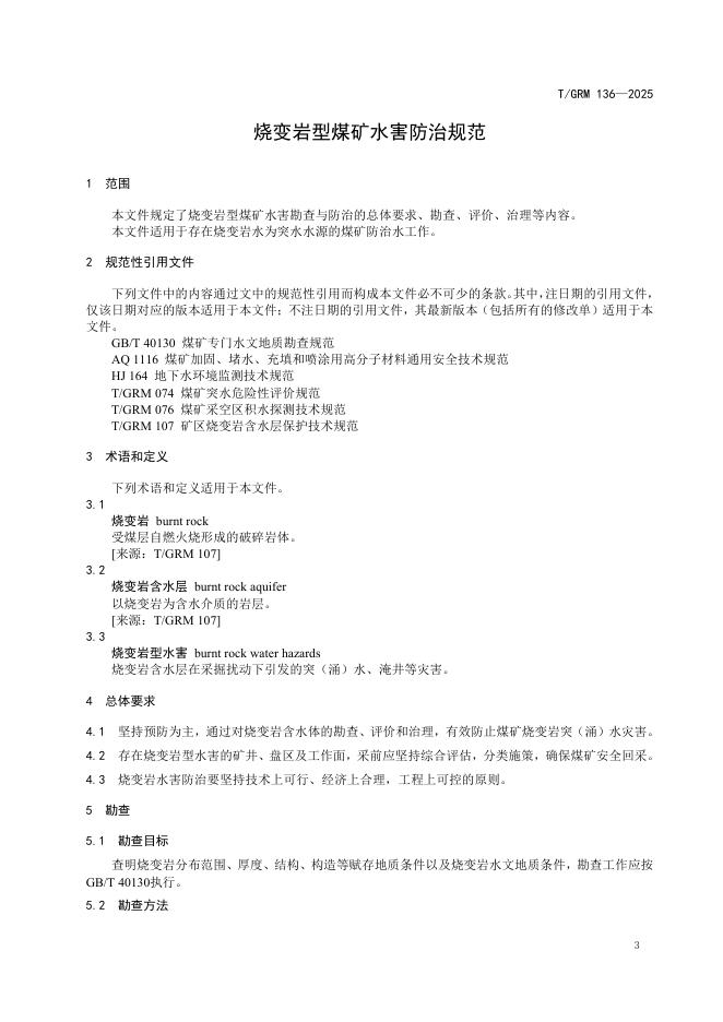 T/GRM 136-2025 标准预览