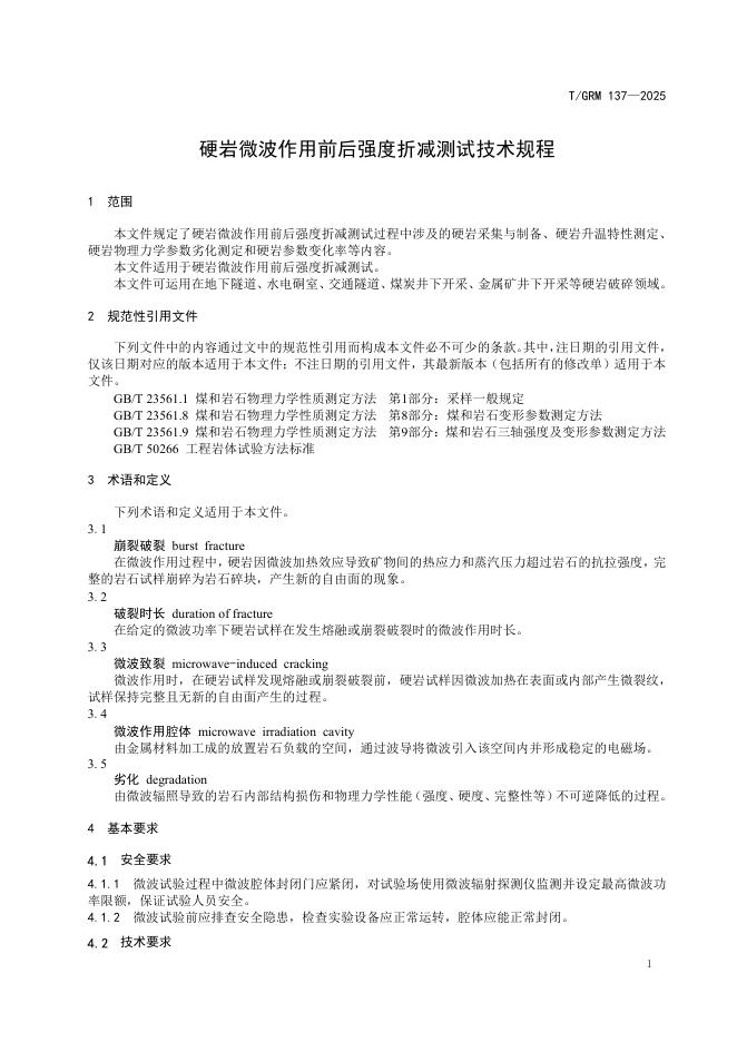T/GRM 137-2025 标准预览