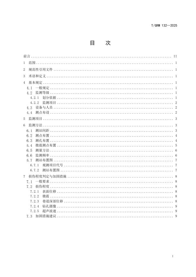 T/GRM 132-2025 标准预览