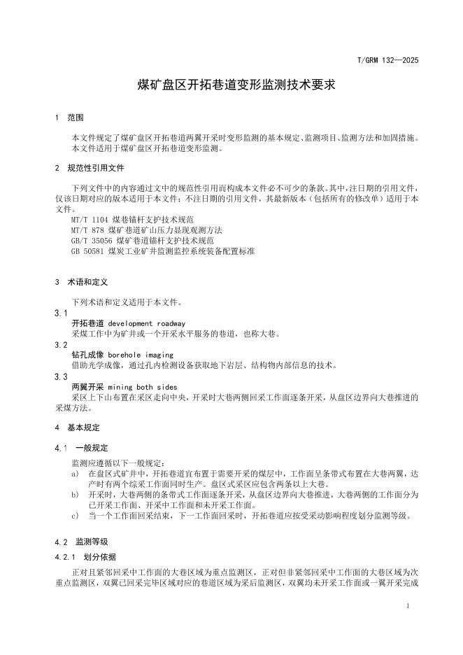 T/GRM 132-2025 标准预览
