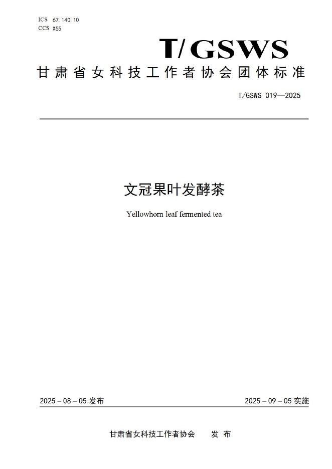 T/GSWS 019-2025 标准预览