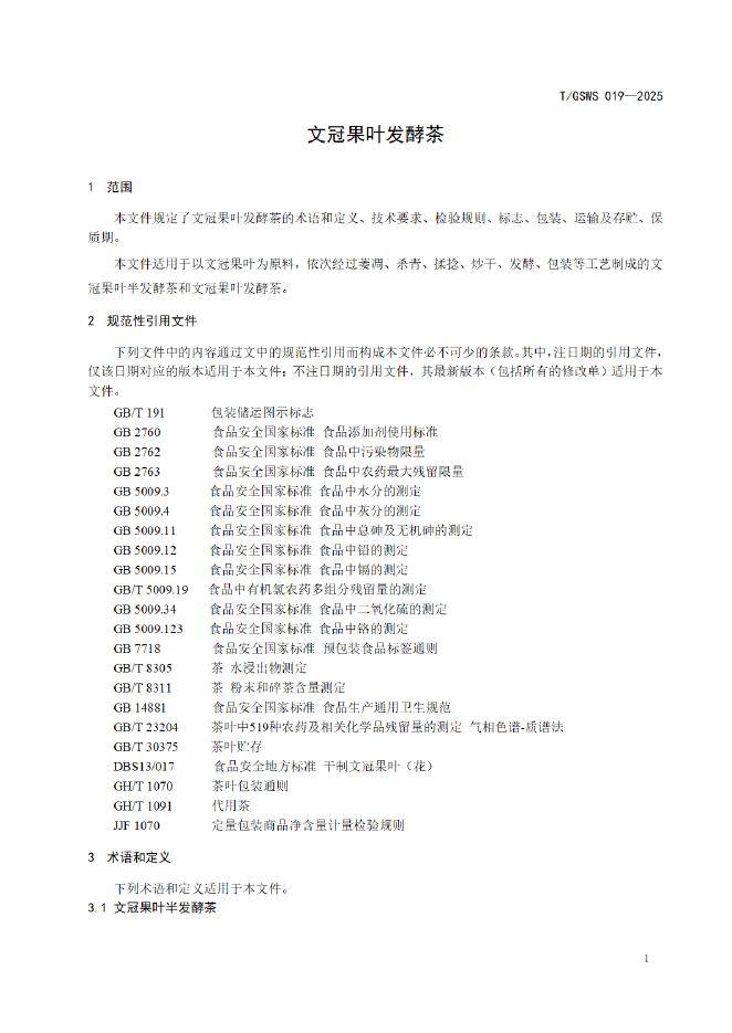 T/GSWS 019-2025 标准预览