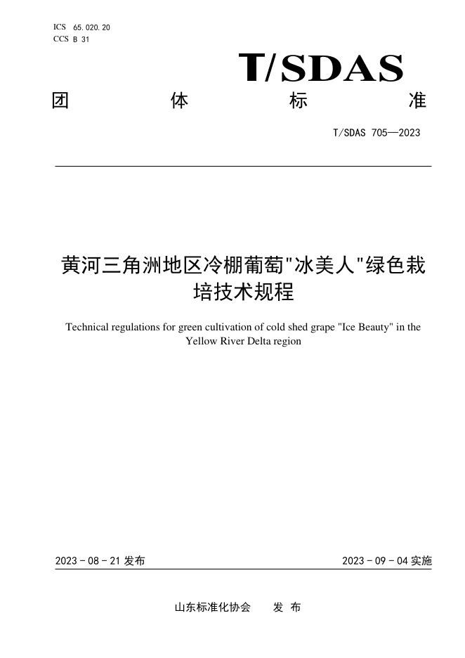 T/SDAS 705-2023 标准预览