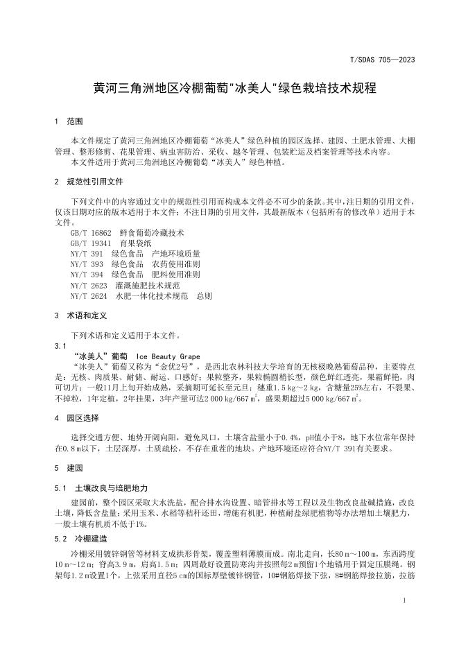 T/SDAS 705-2023 标准预览