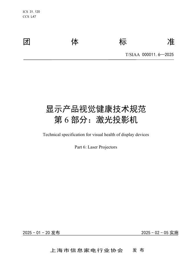 T/SIAA 000011.6-2025 标准预览