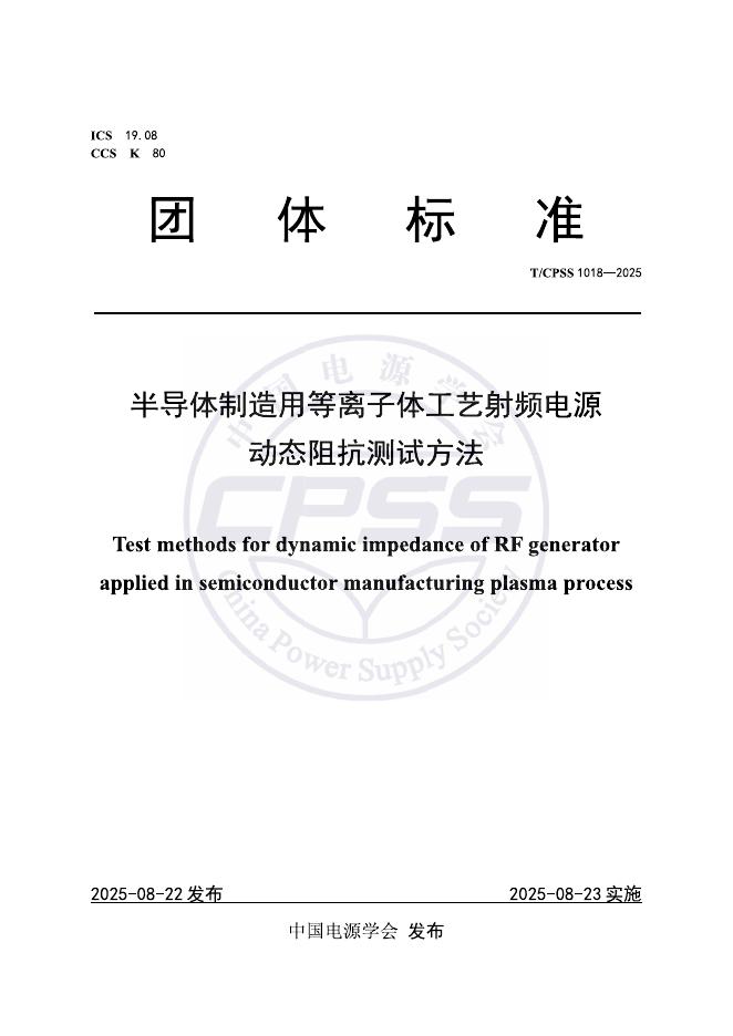 T/CPSS 1018-2025 标准预览