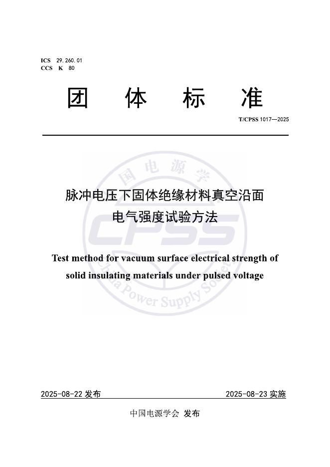 T/CPSS 1017-2025 标准预览