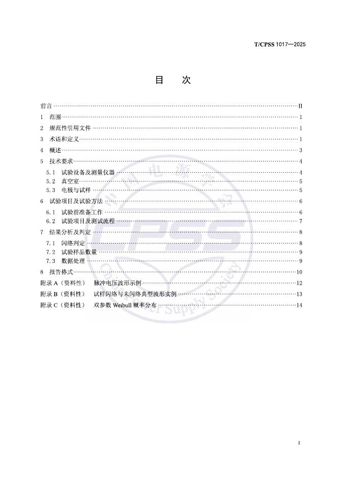 T/CPSS 1017-2025 标准预览