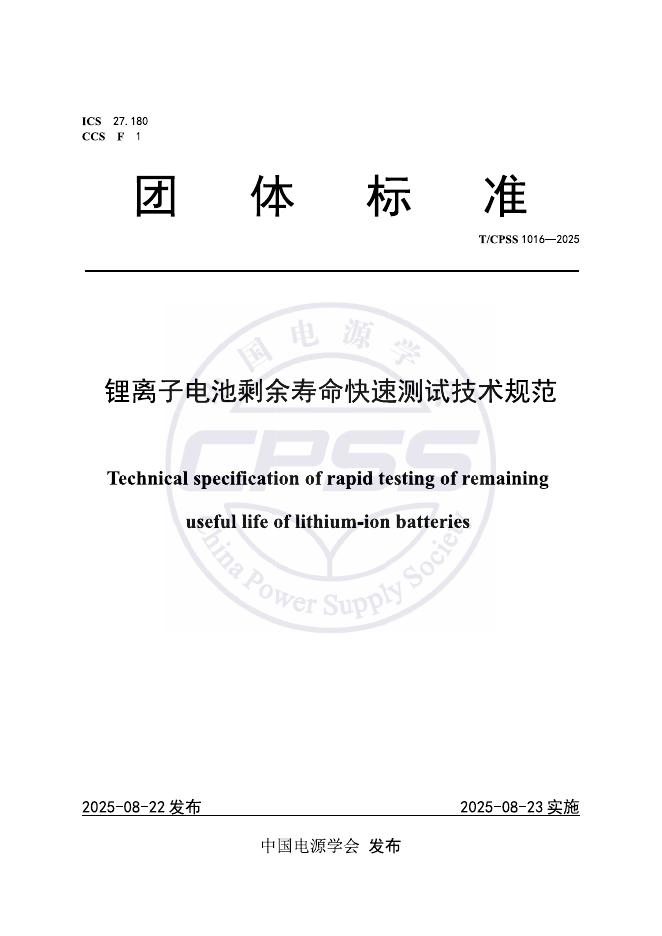 T/CPSS 1016-2025 标准预览