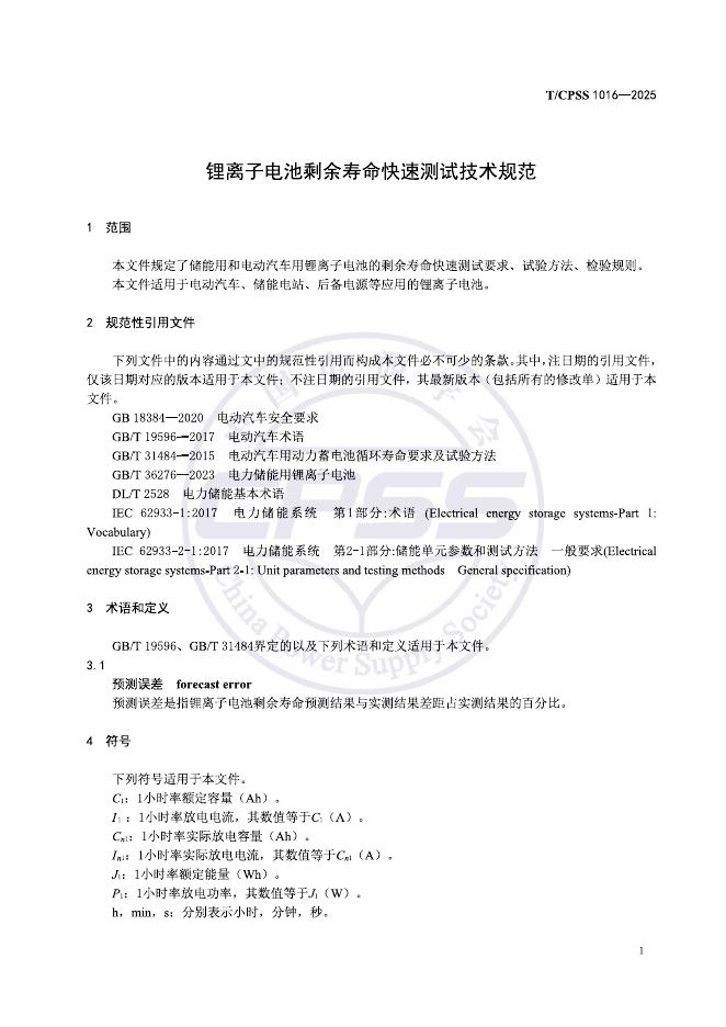 T/CPSS 1016-2025 标准预览